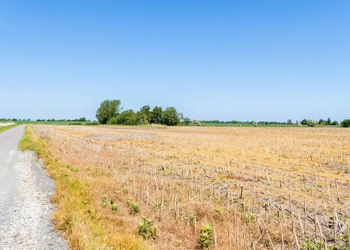 Holiday home Eliane - 1-8km From The Sea By Interhome Bogense